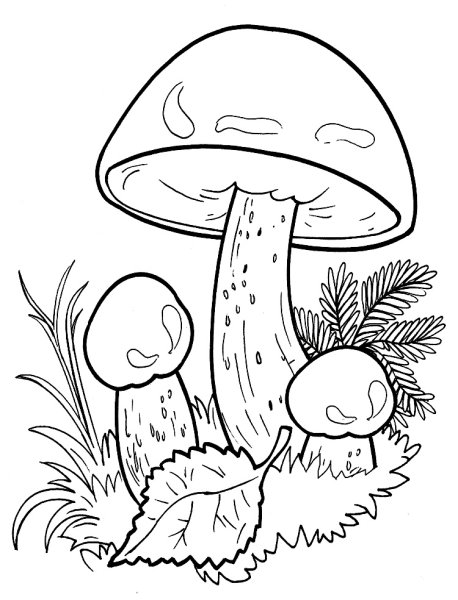 Картинки раскраски гриб (50 фото)