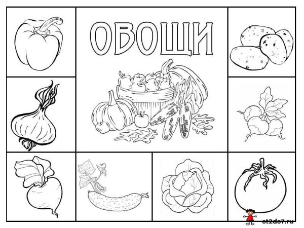 Карточки раскраски для детей
