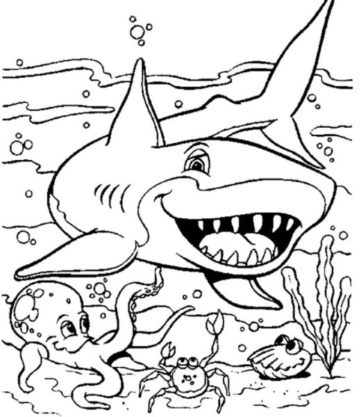 Картинки раскраски акула (46 фото)