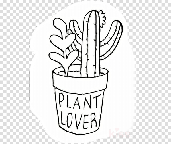 Раскраска Эстетика кактусы