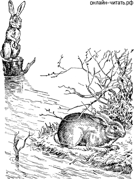 Краткое содержание «Дедушка Мазай и зайцы» для читательского дневника