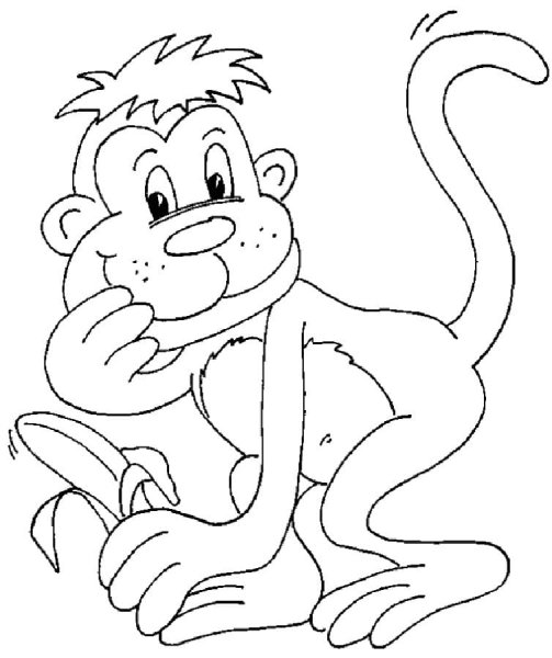 Картинки раскраски обезьянка (52 фото)