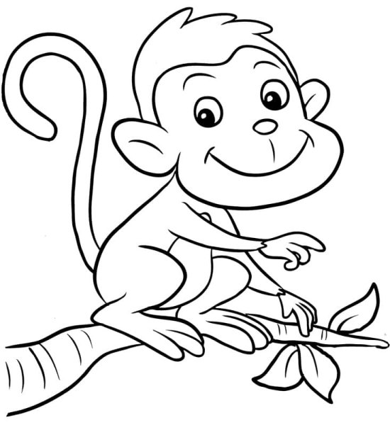 Картинки раскраски обезьяна (51 фото)
