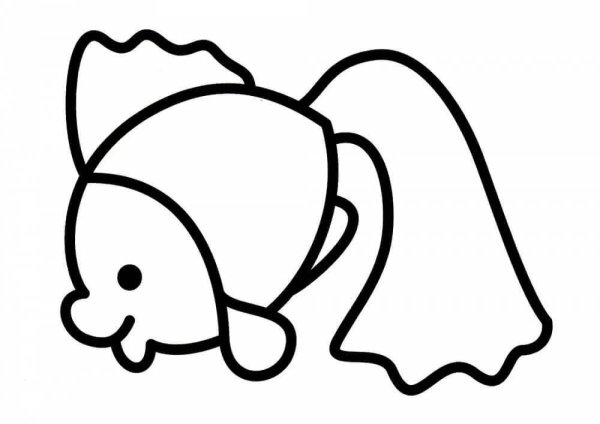 Раскраска "бабочки"