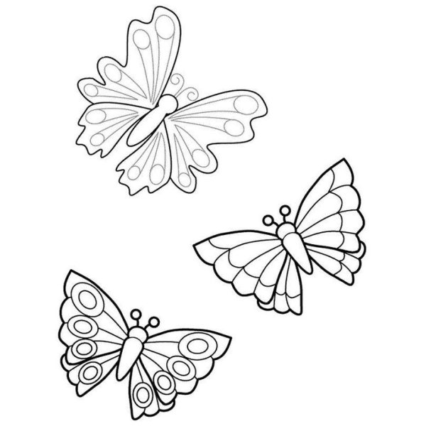Картинки раскраски бабочек бабочек (53 фото)