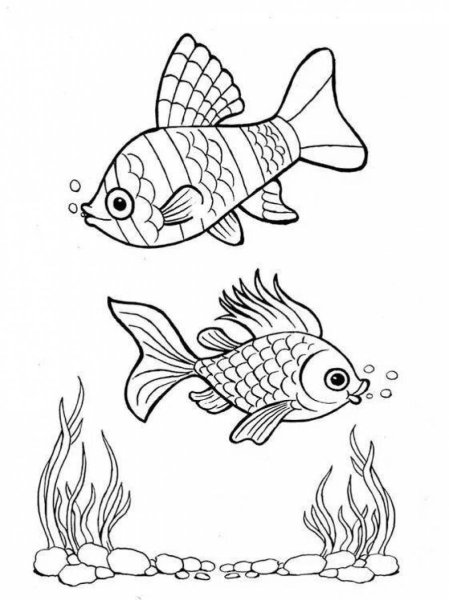 Картинки раскраски рыбы рыбы (52 фото)