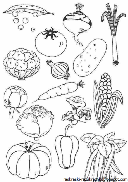 Овощи раскраска для детей