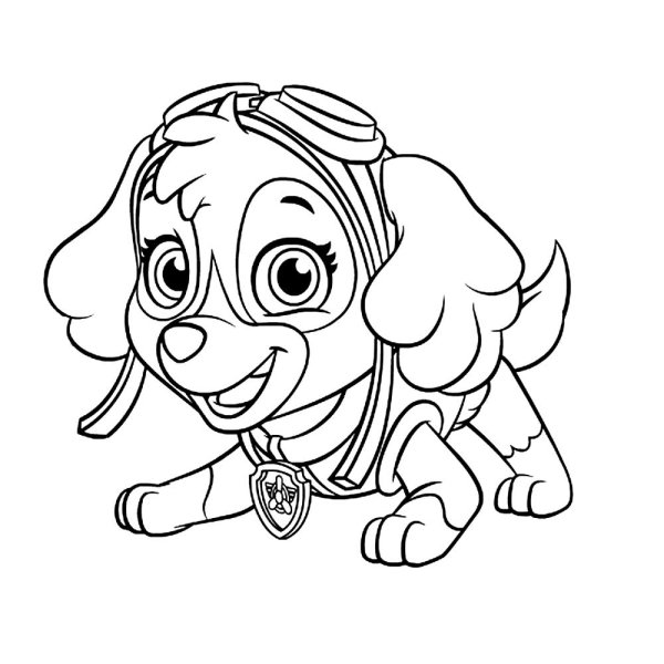 Мега Скай Щенячий патруль раскраска