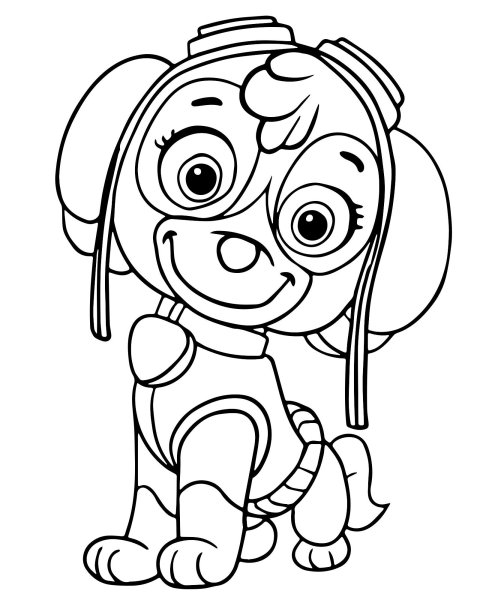 Разукрашка Щенячий патруль Скай