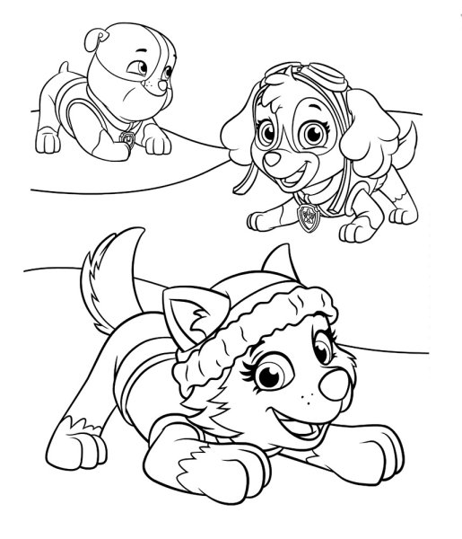 Раскраски Щенячий патруль Эверест и Скай