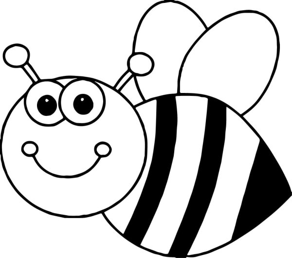 Картинки раскраски пчела (54 фото)