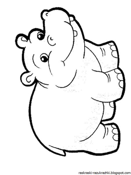 Бегемот раскраска