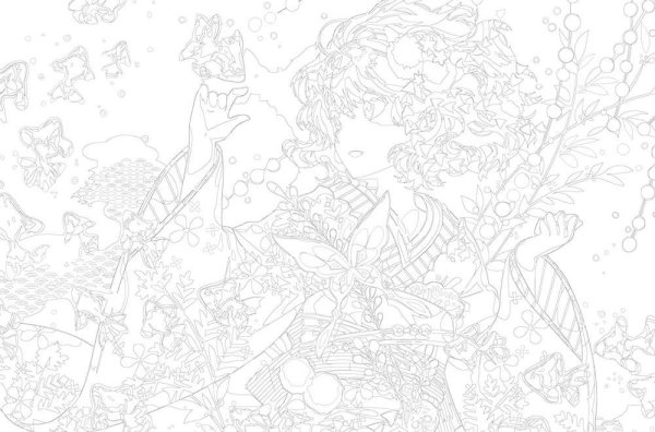 Раскраски аниме