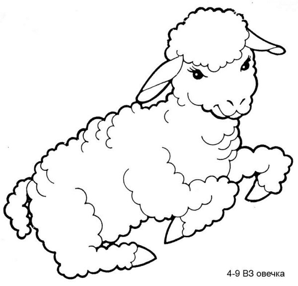 Рисование барашек