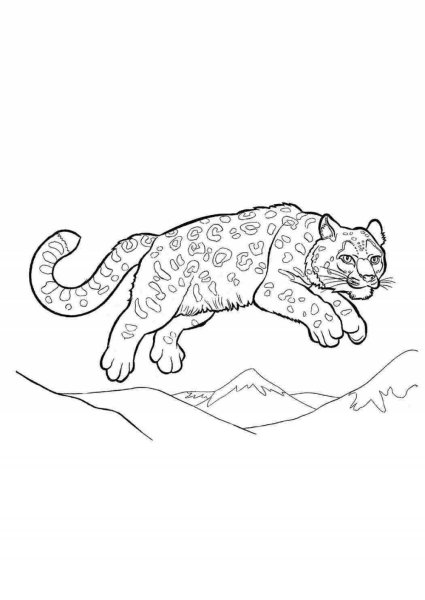 Раскраски животных из красной книги
