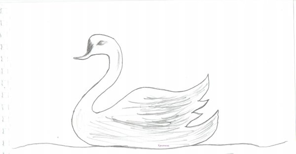 Лебедь картинка для детей