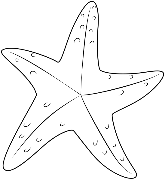Картинки раскраски морские звезды (50 фото)