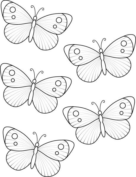 Картинки раскраски бабочек маленькие (52 фото)