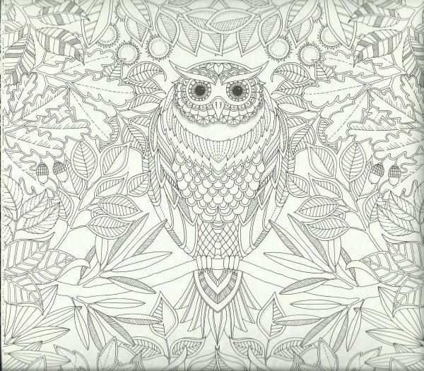 Раскраски для взрослых