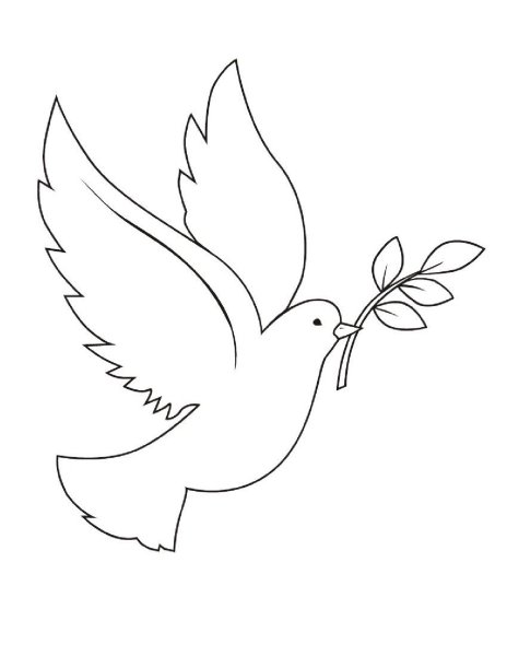 Голубь рисунок