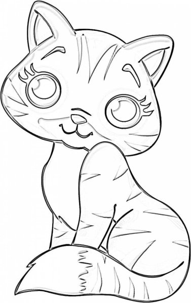 Котенок. Раскраска