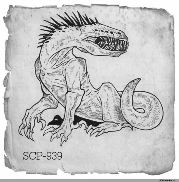 Раскраска SCP