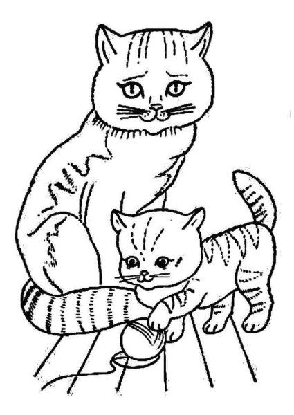 Кошка с котятами раскраска для детей