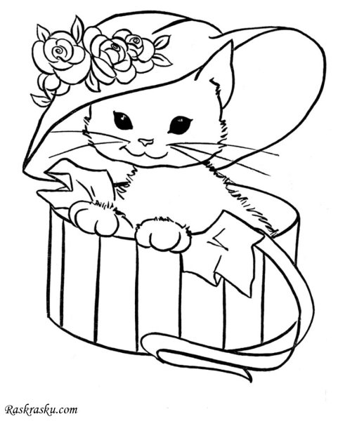 Раскраска кошечка