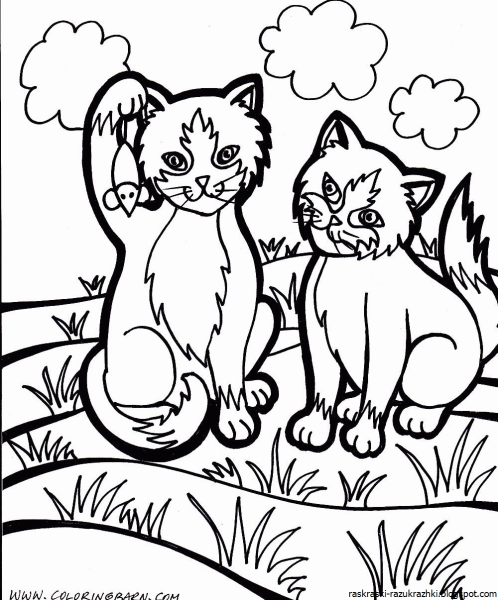 Кошки. Раскраска