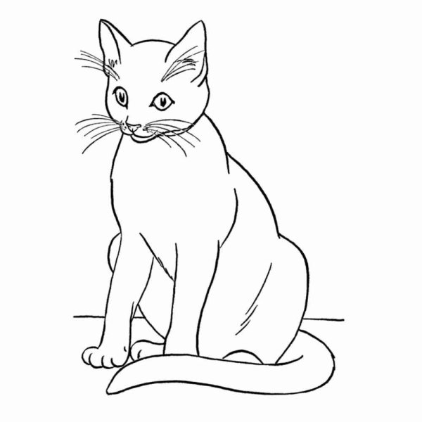 Картинки раскраски кошка с котятами (54 фото)