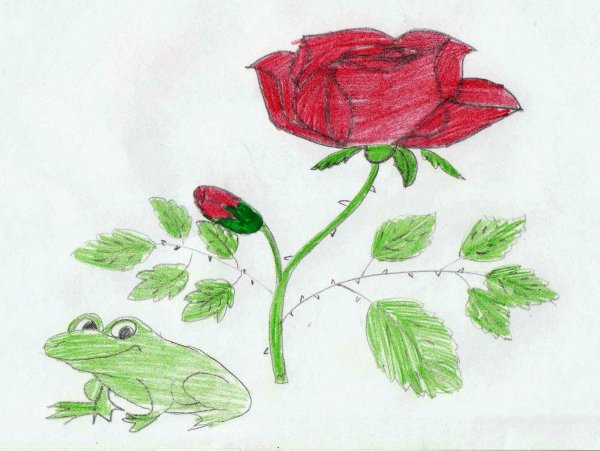 Картинки раскраски сказка о жабе и розе (48 фото)