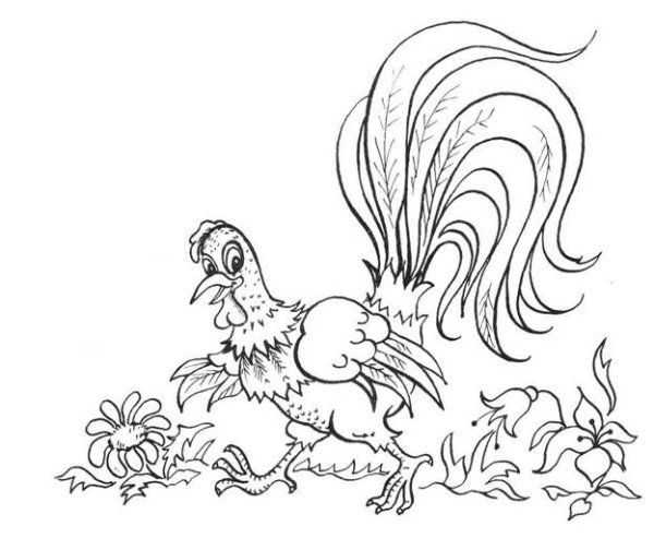 Дворовый петух и флюгерный Андерсен