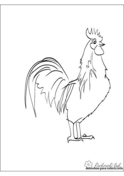 Петушок и бобовое зернышко раскраска