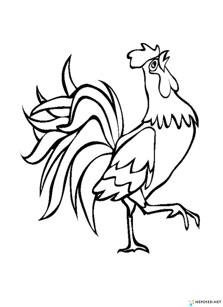 Сказка о золотом петушке Пушкин раскраска