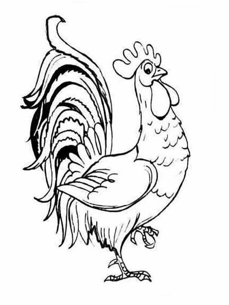 Сказка о золотом петушке Пушкин раскраска