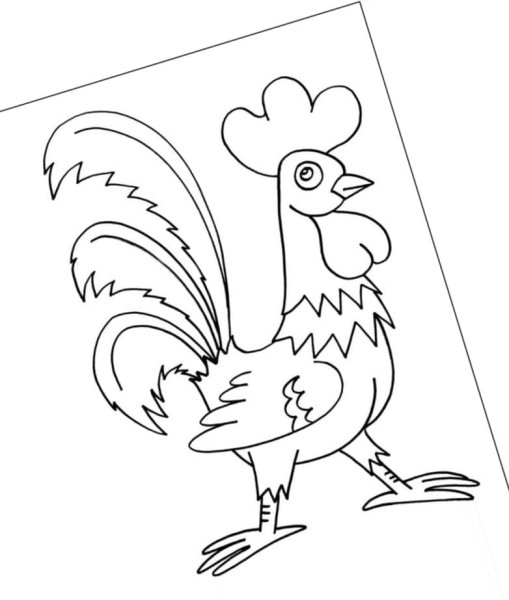 Золотой петушок Пушкин раскраска