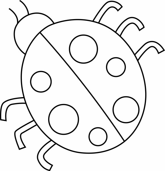 Божья коровка раскраска простая