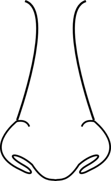 Нос раскраска
