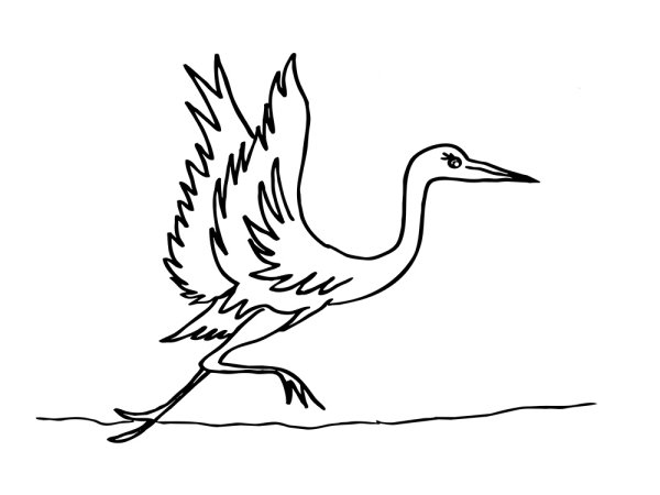 Журавль раскраска для детей