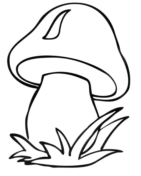 Гриб Боровик раскраска