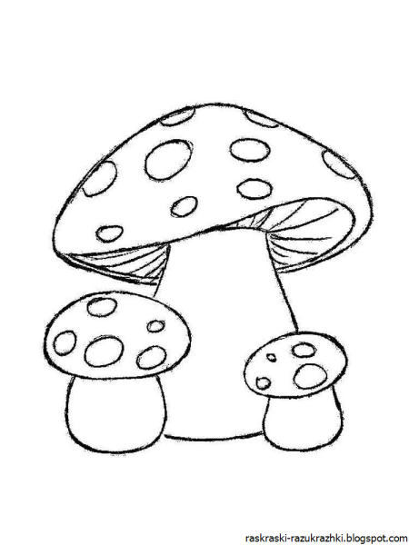 Грибы раскраска для детей