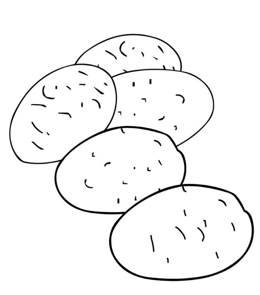 Картофель раскраска