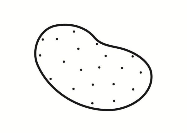 Картофель раскраска