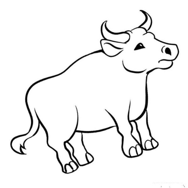 Бычок раскраска