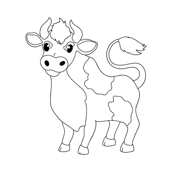 Раскраска корова