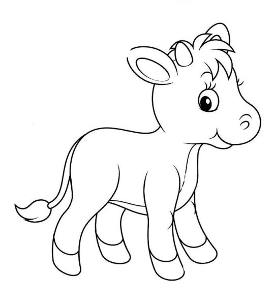 Бычок раскраска для малышей