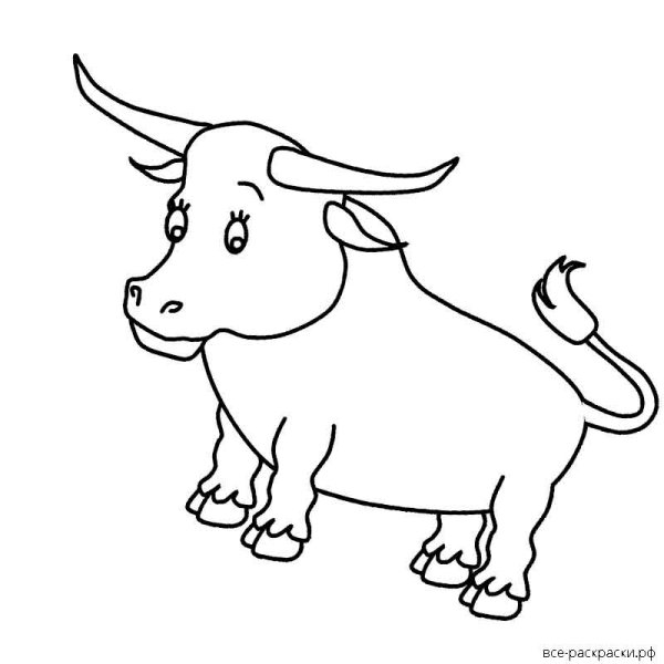 Маленький бычок раскраска