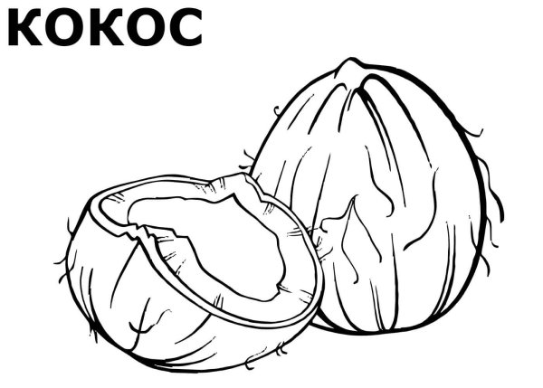 Кокос раскраска