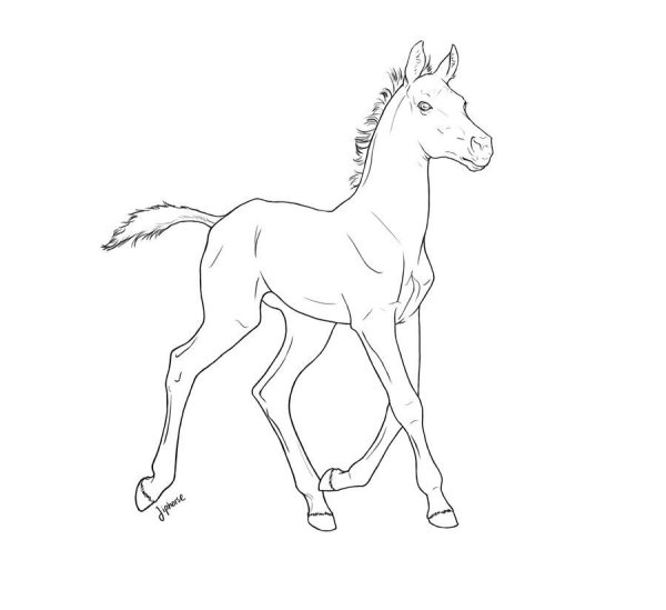 Раскраска жеребенок