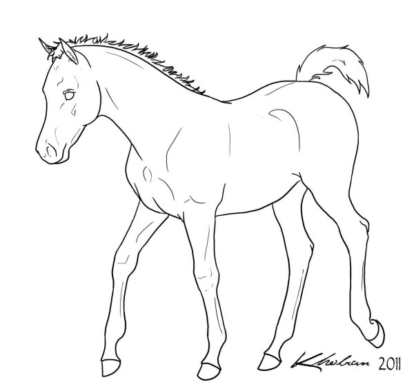 Раскраска жеребенок